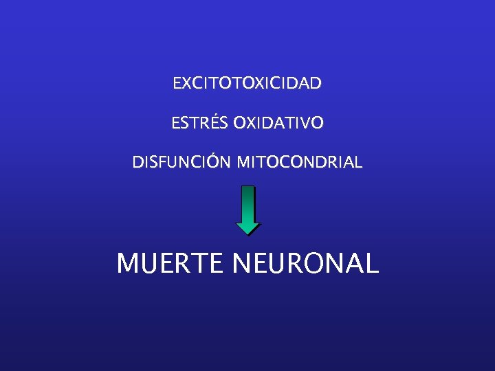 EXCITOTOXICIDAD ESTRÉS OXIDATIVO DISFUNCIÓN MITOCONDRIAL MUERTE NEURONAL 