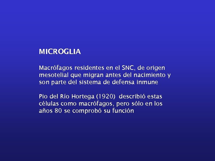 MICROGLIA Macrófagos residentes en el SNC, de origen mesotelial que migran antes del nacimiento
