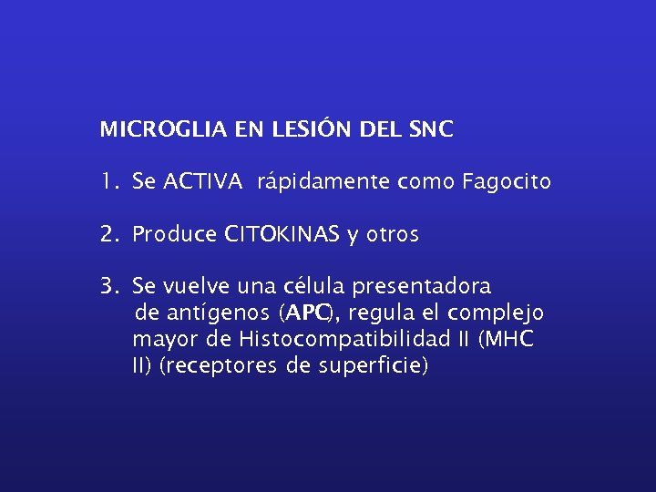 MICROGLIA EN LESIÓN DEL SNC 1. Se ACTIVA rápidamente como Fagocito 2. Produce CITOKINAS