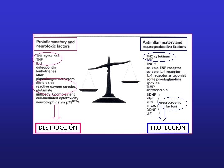 DESTRUCCIÓN PROTECCIÓN 