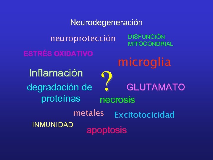Neurodegeneración DISFUNCIÓN MITOCONDRIAL neuroprotección ESTRÉS OXIDATIVO Inflamación ? microglia degradación de GLUTAMATO proteínas necrosis
