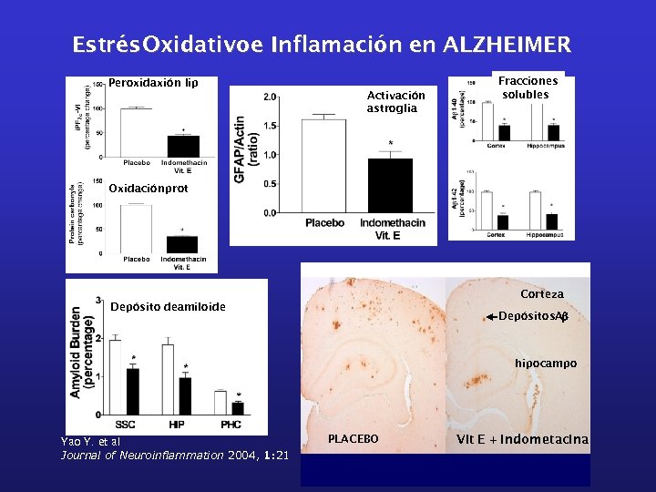 Estrés Oxidativoe Inflamación en ALZHEIMER Peroxidaxión lip Activación astroglia Fracciones solubles Oxidación prot Corteza