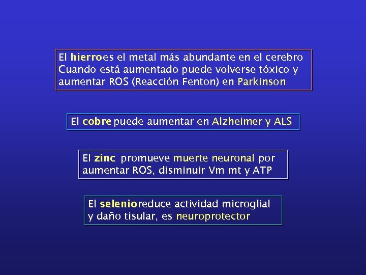 El hierro es el metal más abundante en el cerebro Cuando está aumentado puede