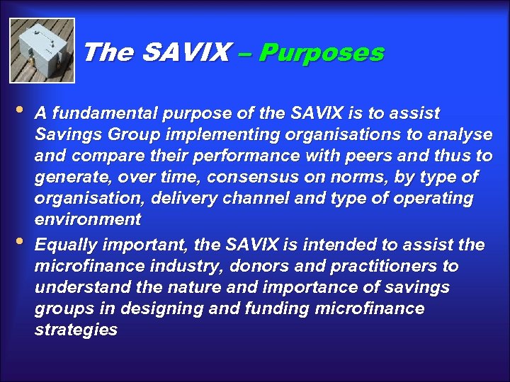 The SAVIX – Purposes • • A fundamental purpose of the SAVIX is to