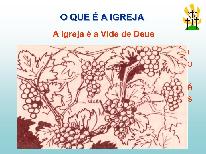 O QUE É A IGREJA A Igreja é a Vide de Deus No A.