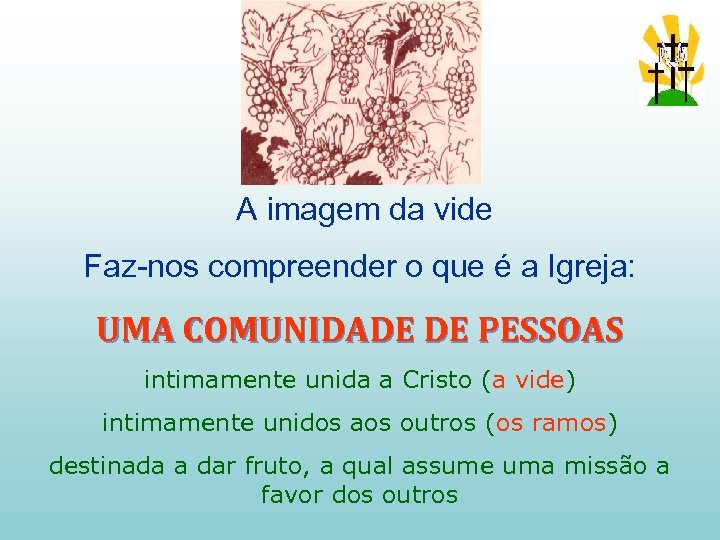  A imagem da vide Faz-nos compreender o que é a Igreja: UMA COMUNIDADE