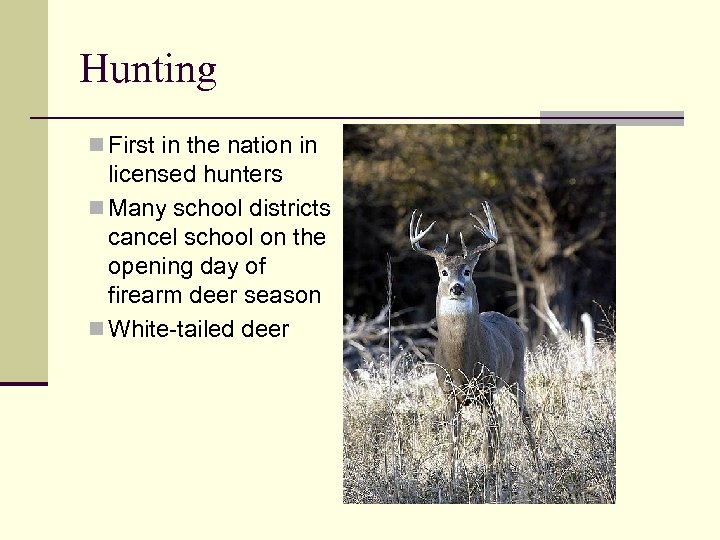 Hunting n First in the nation in licensed hunters n Many school districts cancel