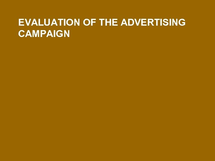 EVALUATION OF THE ADVERTISING CAMPAIGN 