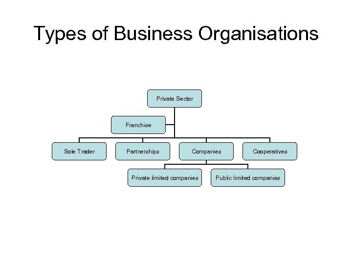 Special organization. Forms of Business Organization. Types of Business Organizations. Type of Organization. Types of Organizational structure.