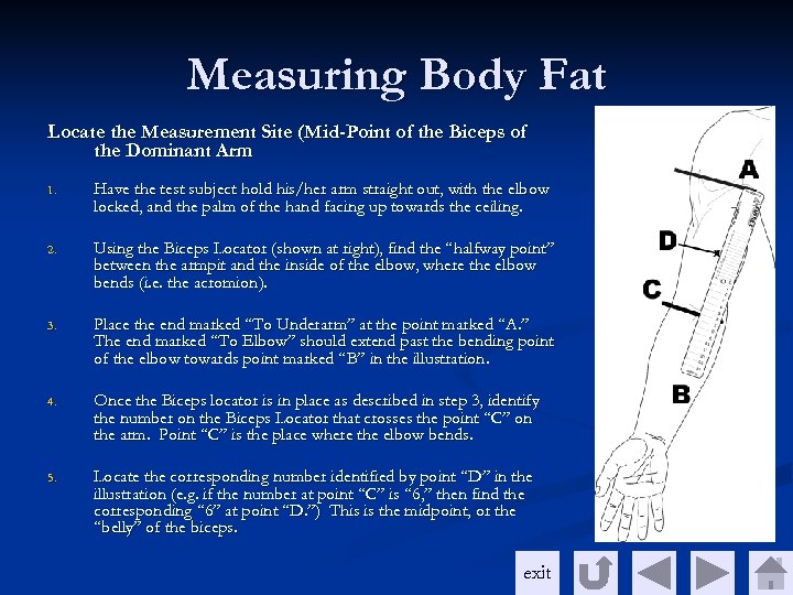 Measuring Body Fat Locate the Measurement Site (Mid-Point of the Biceps of the Dominant