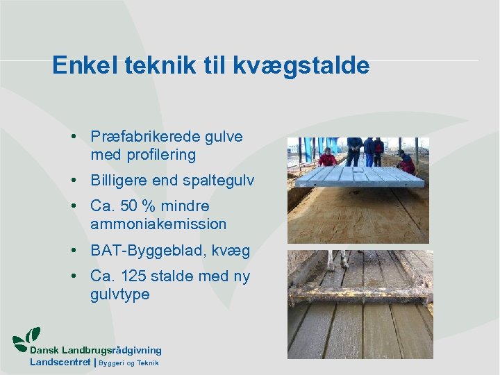 Enkel teknik til kvægstalde • Præfabrikerede gulve med profilering • Billigere end spaltegulv •