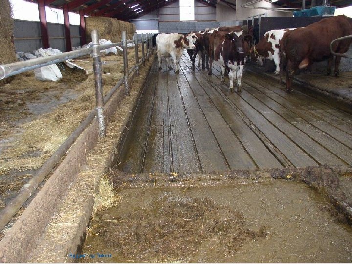 Dansk Landbrugsrådgivning Landscentret | Byggeri og Teknik 