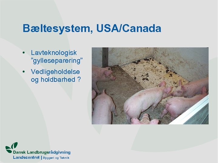 Bæltesystem, USA/Canada • Lavteknologisk ”gylleseparering” • Vedligeholdelse og holdbarhed ? Dansk Landbrugsrådgivning Landscentret |