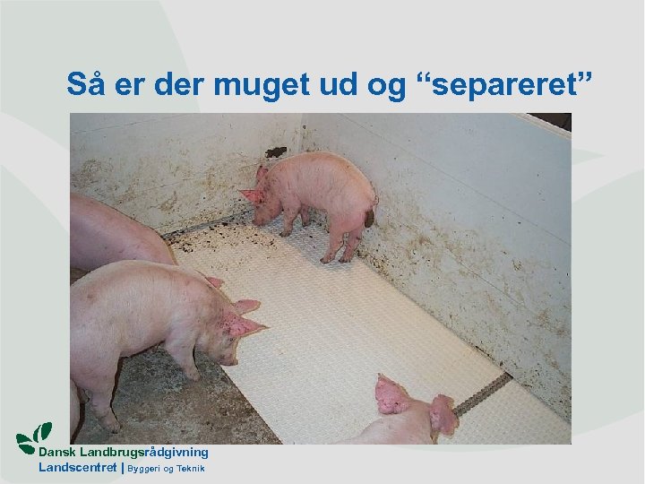 Så er der muget ud og “separeret” Dansk Landbrugsrådgivning Landscentret | Byggeri og Teknik