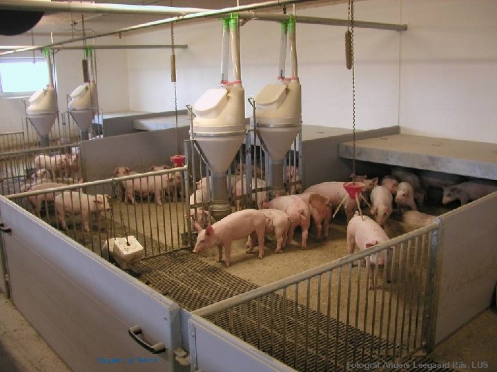 Dansk Landbrugsrådgivning Landscentret | Byggeri og Teknik Fotograf Anders Leegaard Riis, LUS 