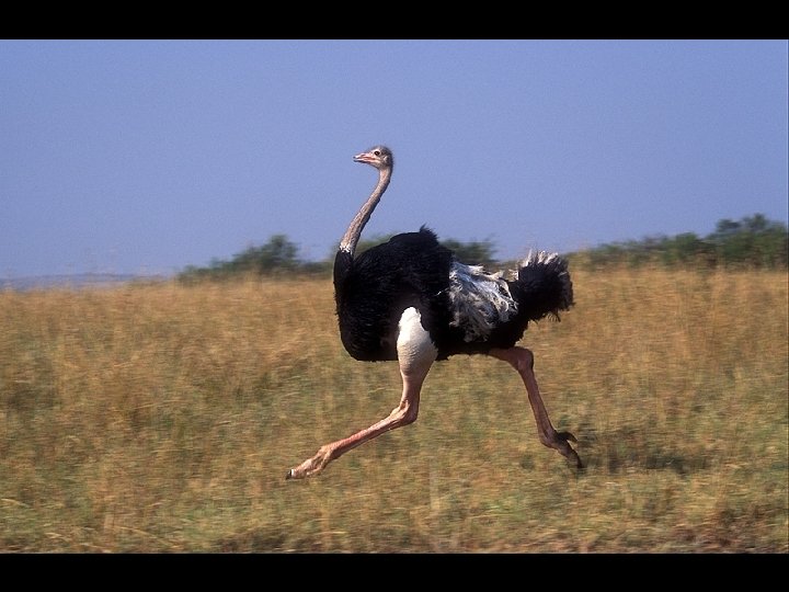 What is radically new? 