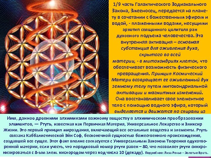 1/9 часть Галактического Зодиакального Закона, Змееносец, передается на плане ту в сочетании с божественным