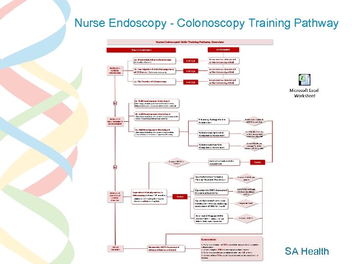 Nurse Endoscopy - Colonoscopy Training Pathway SA Health 