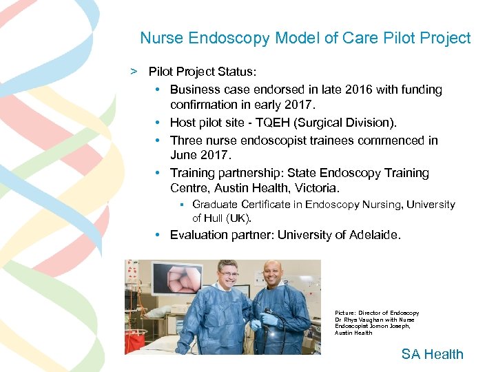 Nurse Endoscopy Model of Care Pilot Project > Pilot Project Status: • Business case