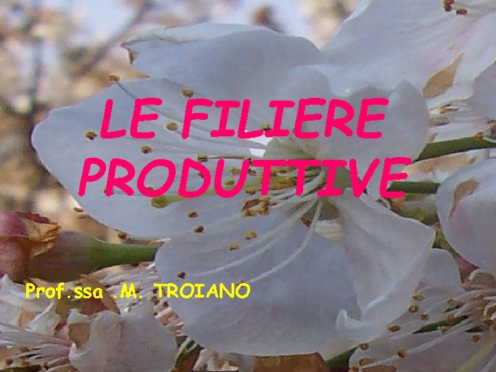 LE FILIERE PRODUTTIVE Prof. ssa. M. TROIANO 