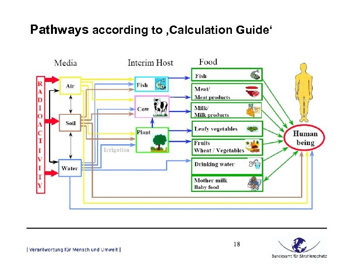 Pathways according to ‚Calculation Guide‘ 18 