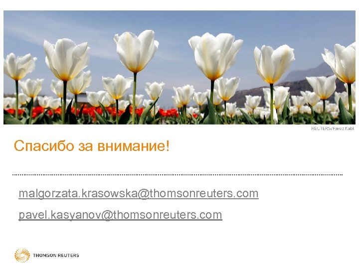 Спасибо за внимание! malgorzata. krasowska@thomsonreuters. com pavel. kasyanov@thomsonreuters. com 