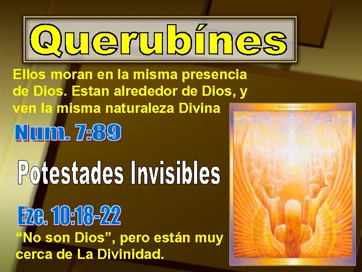 Ellos moran en la misma presencia de Dios. Estan alrededor de Dios, y ven