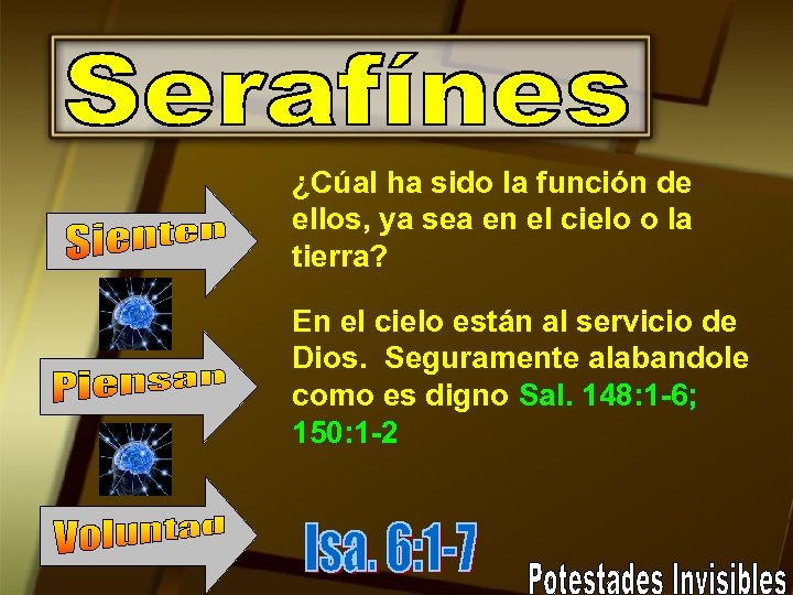 ¿Cúal ha sido la función de ellos, ya sea en el cielo o la