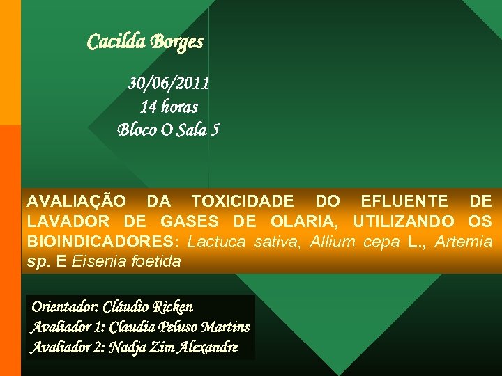 Cacilda Borges 30/06/2011 14 horas Bloco O Sala 5 AVALIAÇÃO DA TOXICIDADE DO EFLUENTE