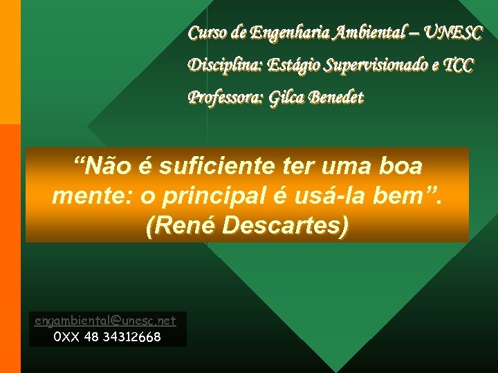 Curso de Engenharia Ambiental – UNESC Disciplina: Estágio Supervisionado e TCC Professora: Gilca Benedet