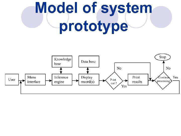 Model of system prototype 