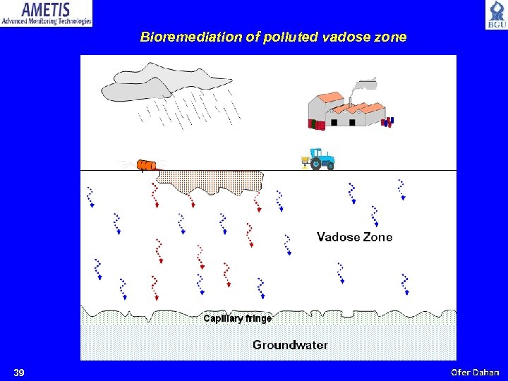 Bioremediation of polluted vadose zone 39 