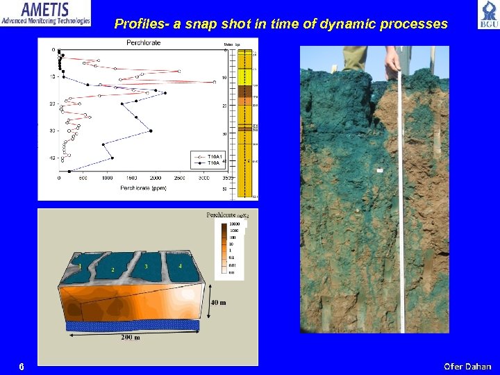 Profiles- a snap shot in time of dynamic processes 6 