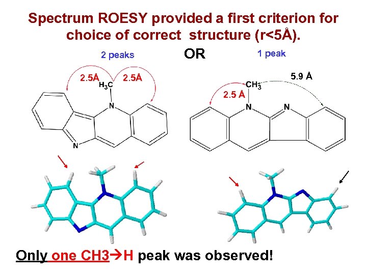 Spectrum ROESY provided a first criterion for choice of correct structure (r<5Å). 1 peak