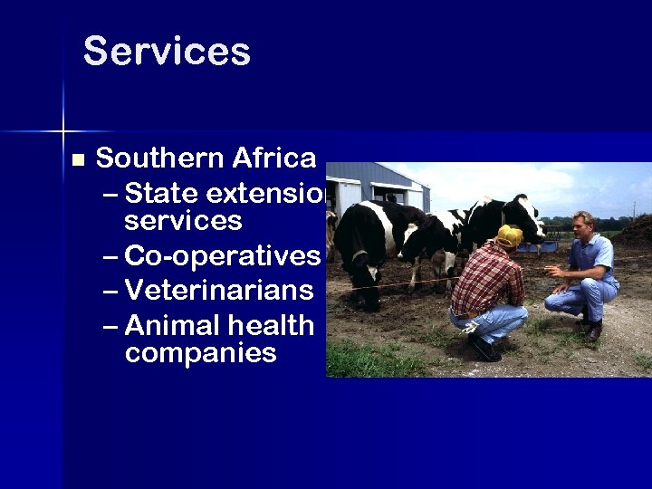 Services n Southern Africa – State extension services – Co-operatives – Veterinarians – Animal