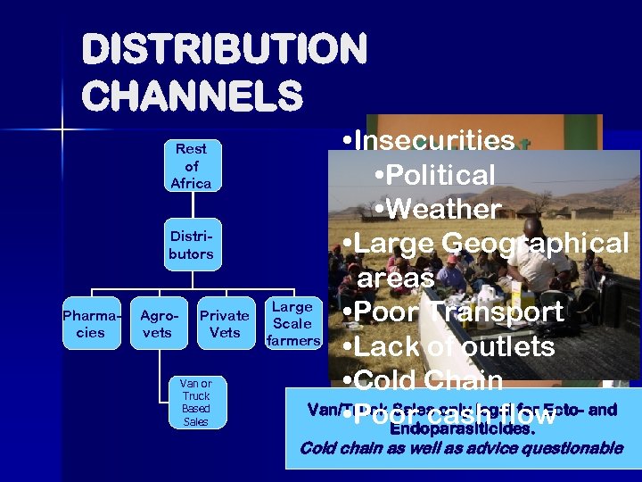 DISTRIBUTION CHANNELS Rest of Africa Distributors Pharmacies Agrovets Private Vets Van or Truck Based