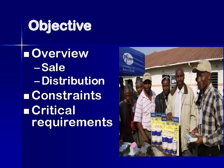 Objective n Overview – Sale – Distribution n Constraints n Critical requirements 