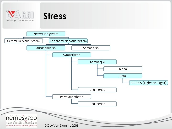 Stress Nervous System Central Nervous System Peripheral Nervous System Autonomic NS Somatic NS Sympathetic
