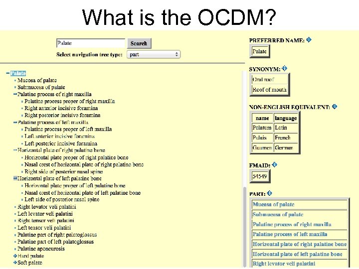 What is the OCDM? 