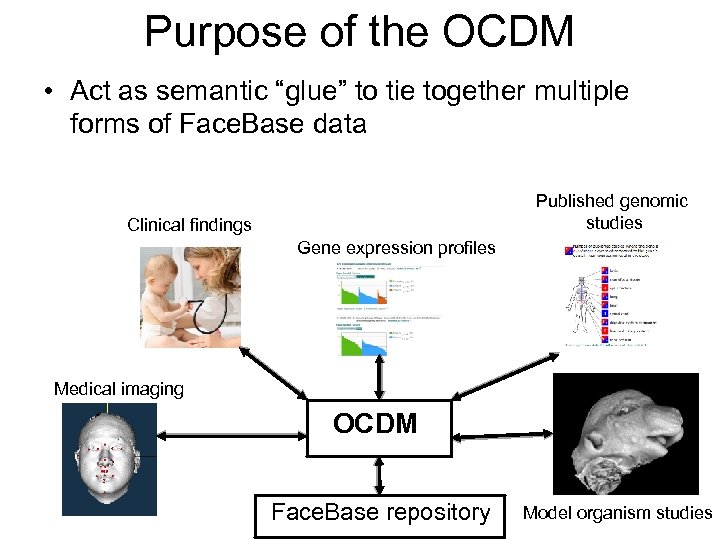 Purpose of the OCDM • Act as semantic “glue” to tie together multiple forms