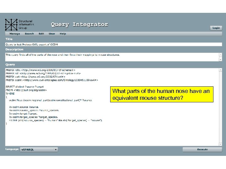 What parts of the human nose have an equivalent mouse structure? 