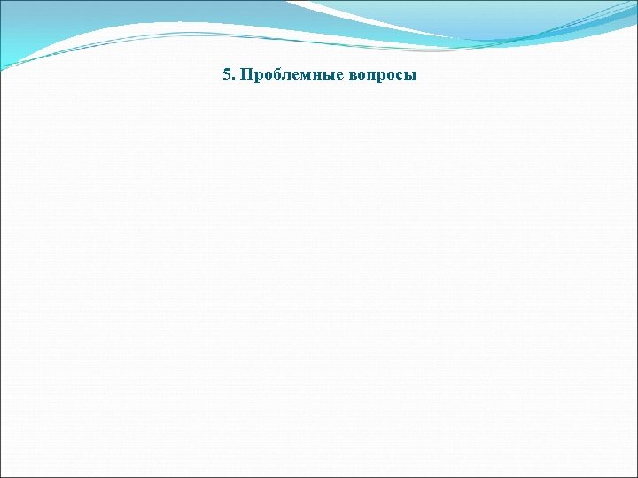 5. Проблемные вопросы 