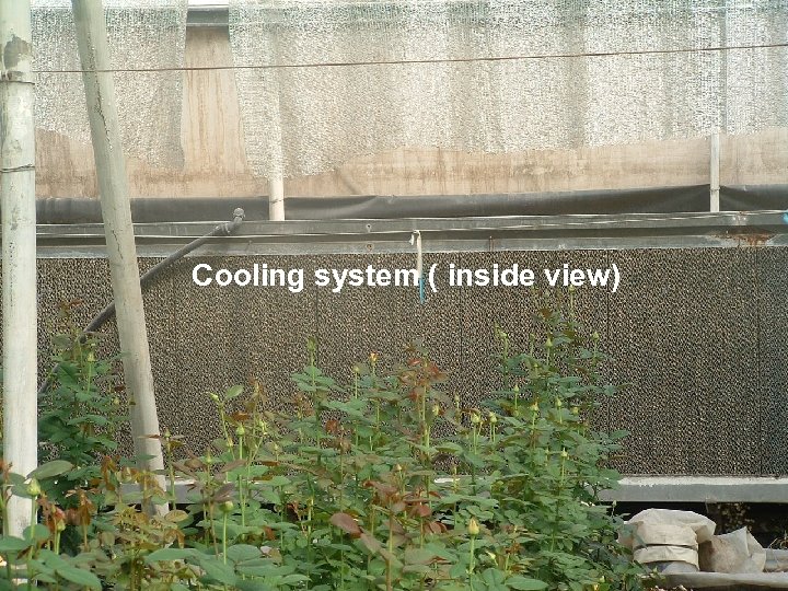 Cooling system ( inside view) 
