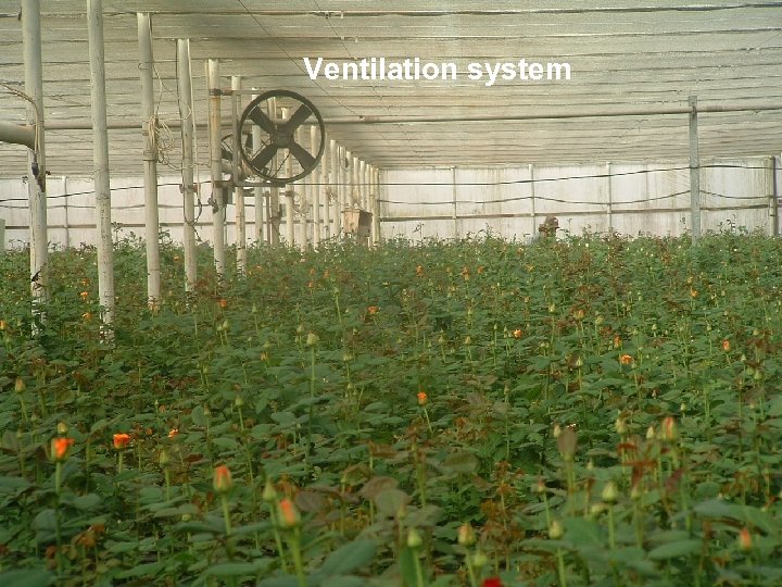 Ventilation system 