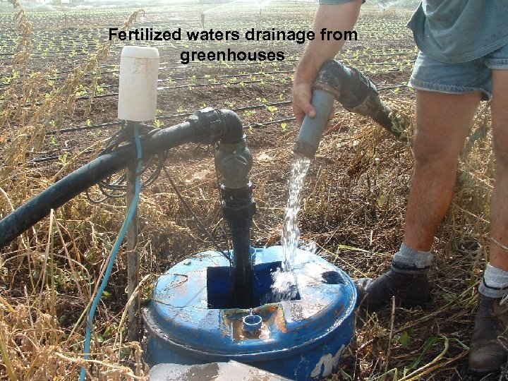 Fertilized waters drainage from greenhouses 