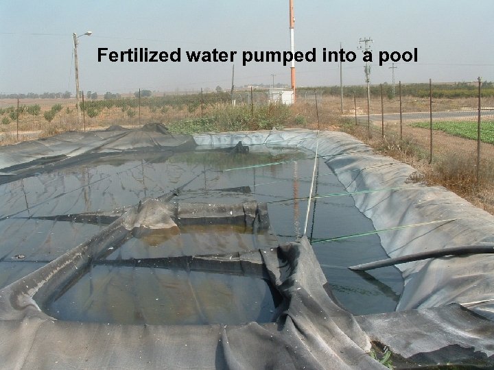 Fertilized water pumped into a pool 