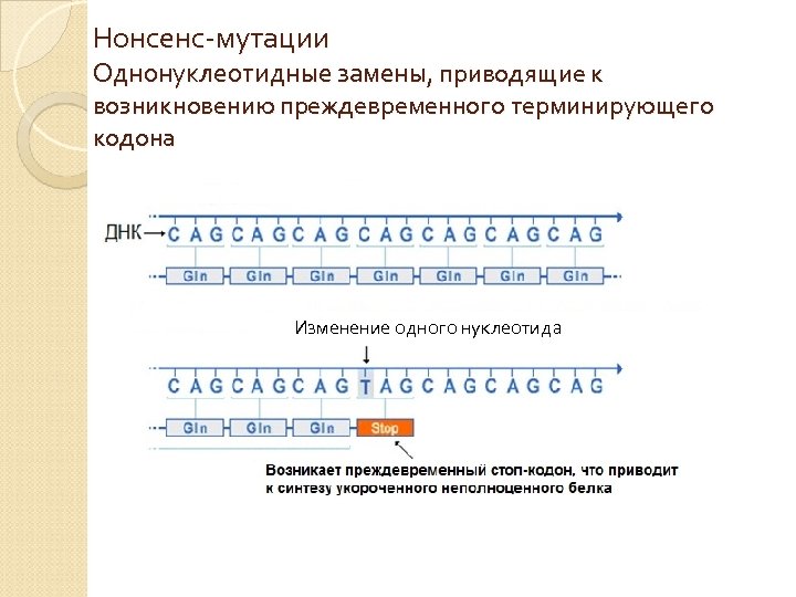 Нонсенс это. Миссенс и нонсенс мутации. Генные мутации нонсенс миссенс. Нонсенс мутации пример. Нонсенс генетика.