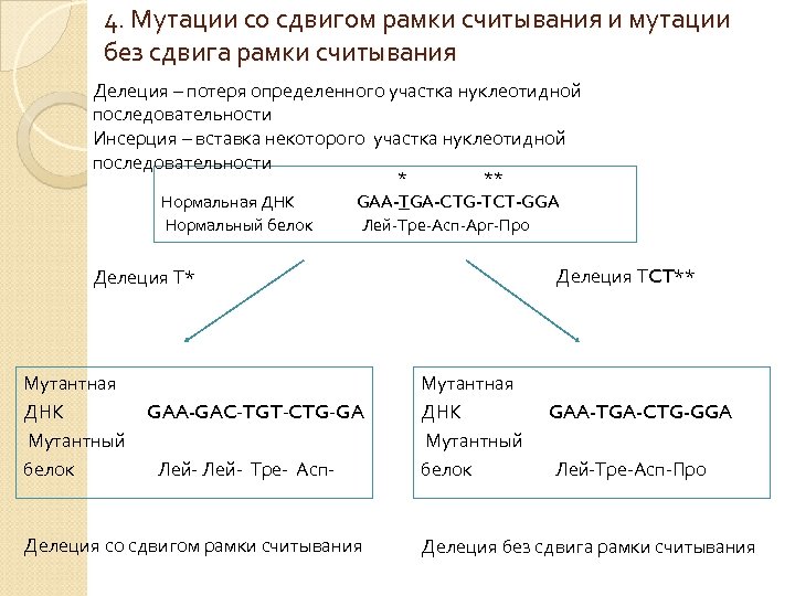 4. Мутации со сдвигом рамки считывания и мутации без сдвига рамки считывания Делеция –