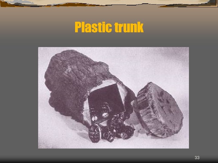 Plastic trunk 33 