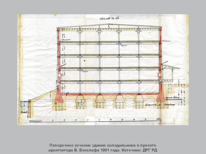Поперечное сечение здания холодильника в проекте архитектора В. Бокслафа 1901 года. Источник: ДРГ РД